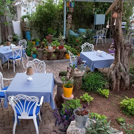 Sunmed 올루데니스