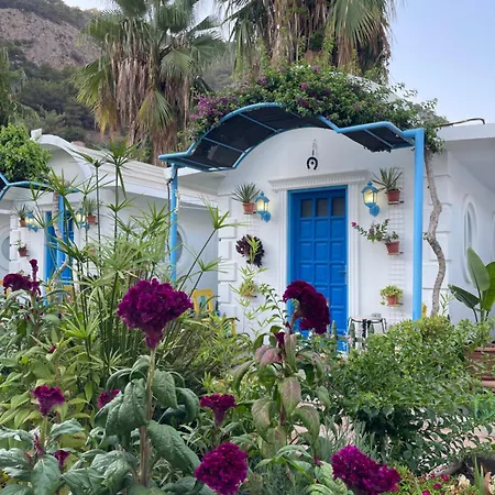 롯지 Sunmed 올루데니스