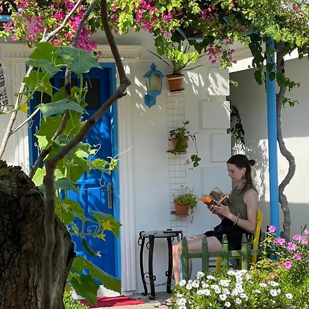 Sunmed * 올루데니스