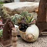 بيت خشبي Sunmed
