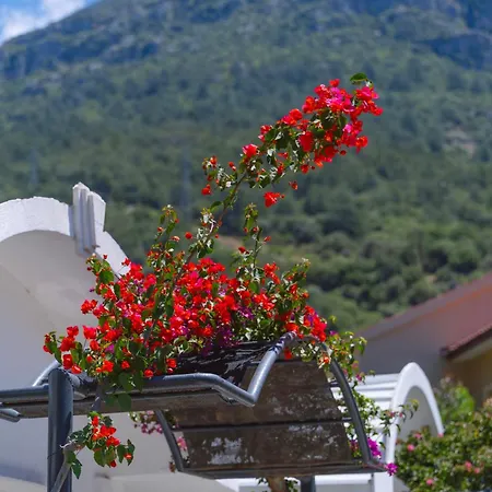 Sunmed Lodge Oludeniz