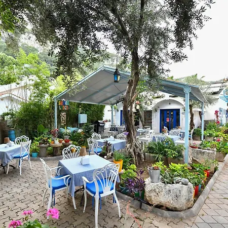 بيت خشبي Sunmed