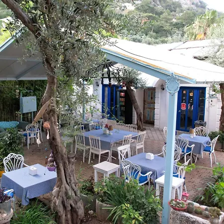 Sunmed * أولدينيس