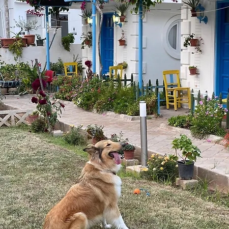 Sunmed بيت خشبي *