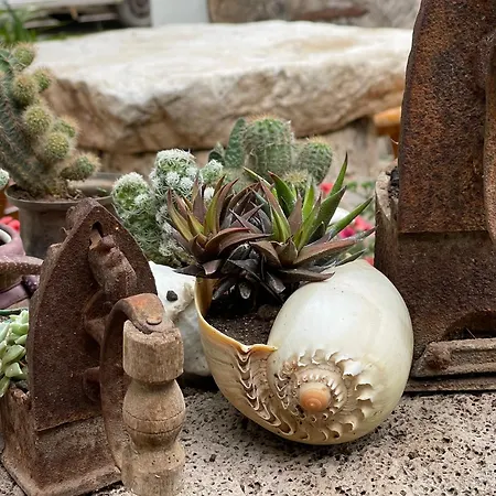 山林小屋 桑雷德旅舍