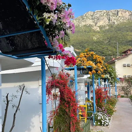 山林小屋 桑雷德旅舍